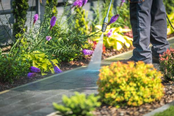 Best Concrete Surface Cleaning in Marin City, CA