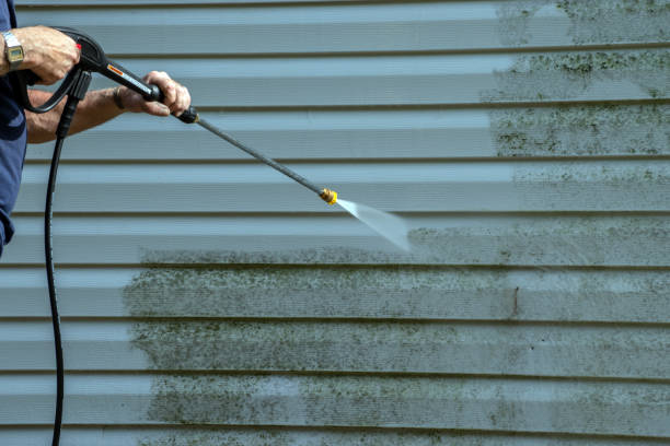 Best Gutter Cleaning and Brightening in Marin City, CA